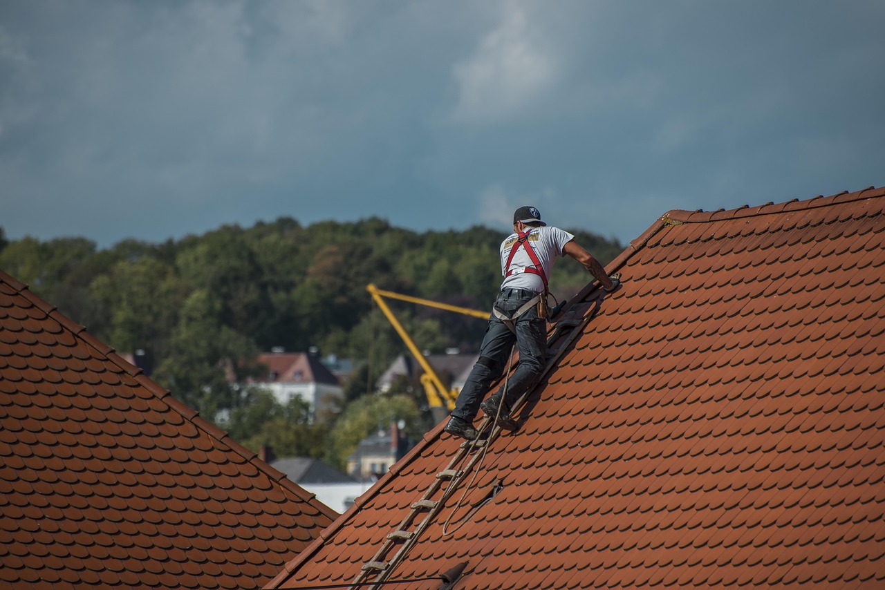 Asphalt Shingle Roof Guide for Arlington Homes image 2